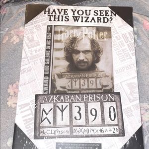 Harry Potter Frame